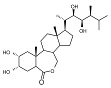 File:Brassinolide.svg